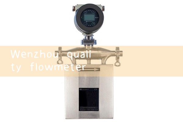 Wenzhou quality flowmeter manufacturer in stock