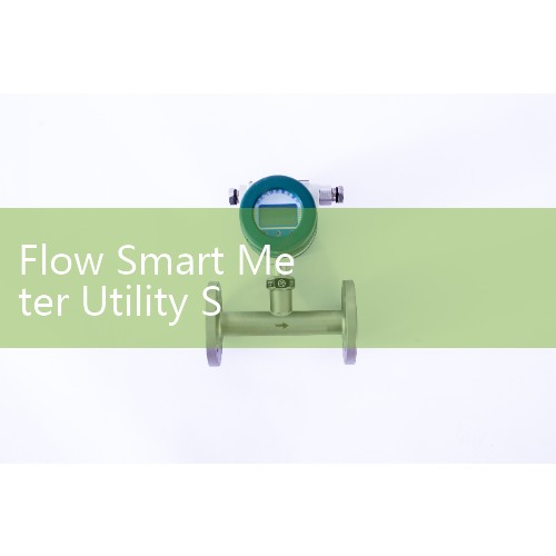 Flow Smart Meter Utility Sizing: Advanced AMR and AMI Networks for Automated Commercial Billing
