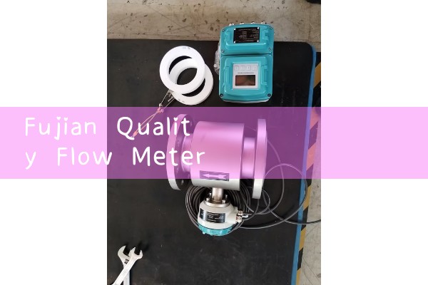 Fujian Quality Flow Meter Installation Manufacturer