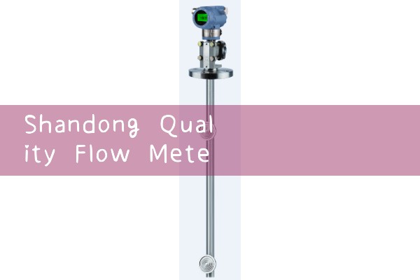 Shandong Quality Flow Meter Testing Manufacturer