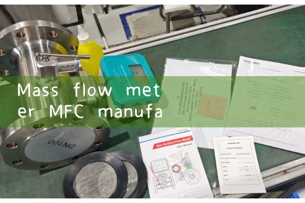 Mass flow meter MFC manufacturer