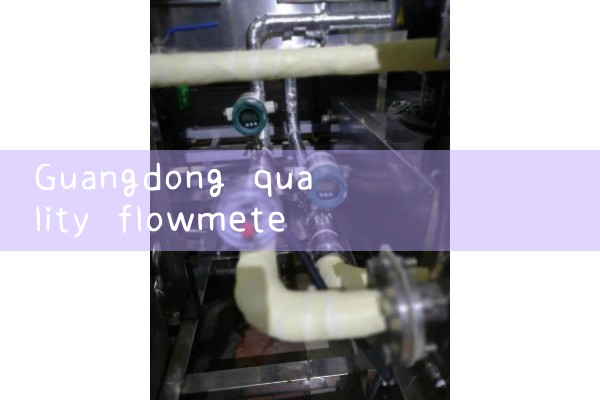 Guangdong quality flowmeter manufacturer in stock