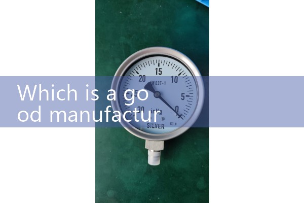 Wenzhou Quality Flow Meter Manufacturer